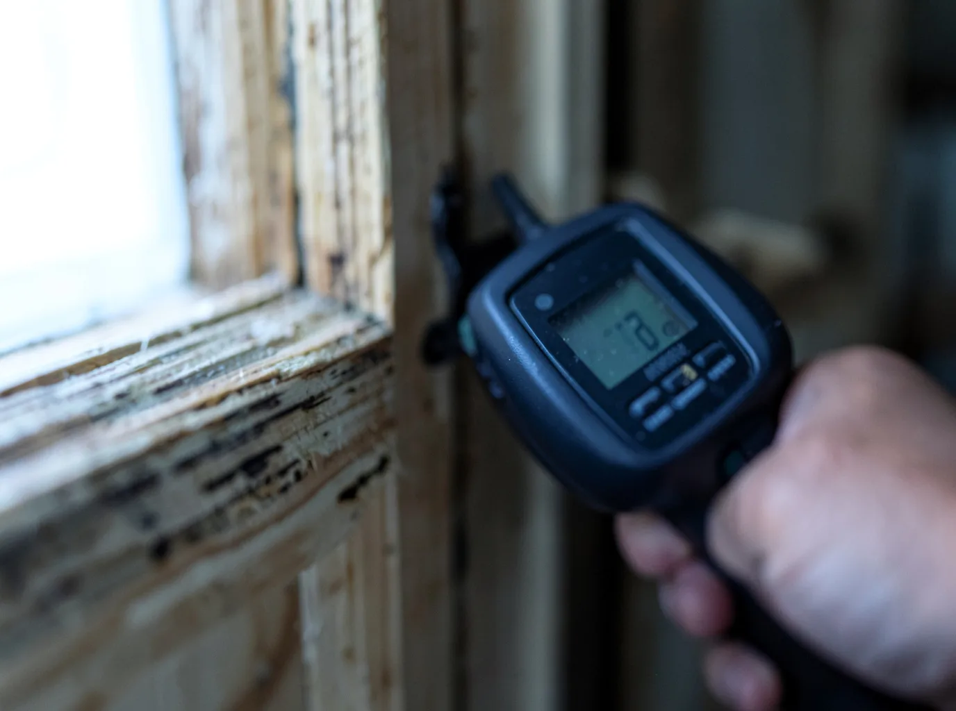 Water Damage Restoration Bellevue, WA FAQs